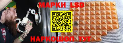 шишки Усть-Джегута