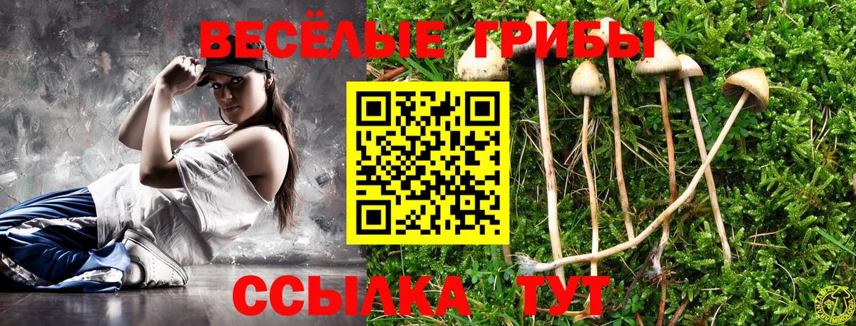 Псилоцибиновые грибы GOLDEN TEACHER  Вход с VPN  Новочебоксарск 